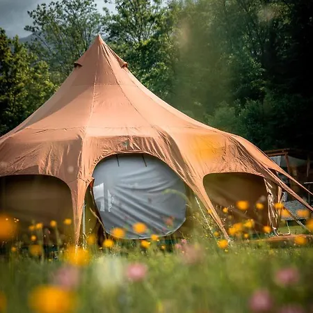 Glamping Gozdna Jasa