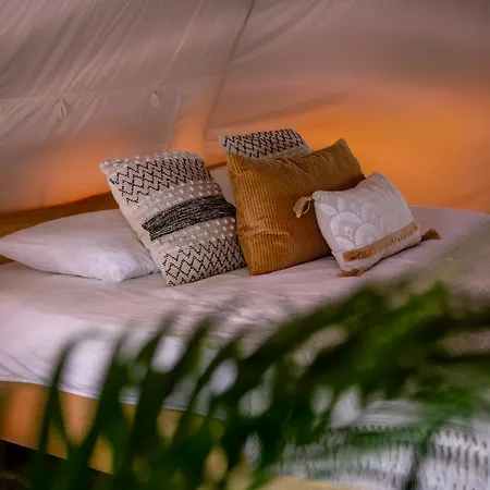 Glamping Gozdna Jasa