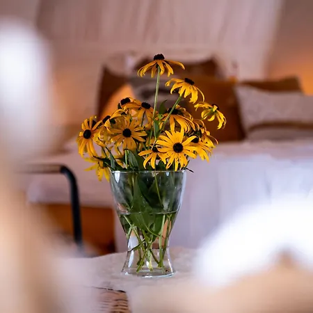 Glamping Gozdna Jasa