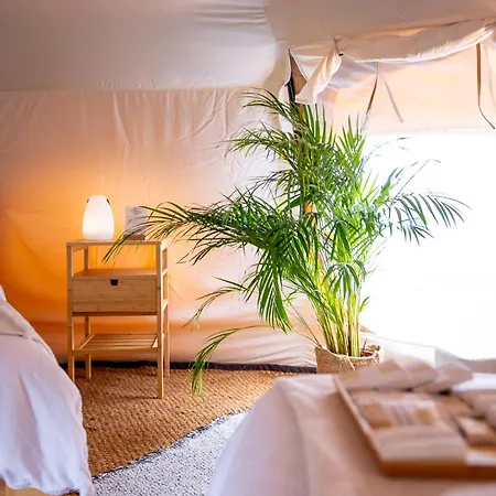 Glamping Gozdna Jasa