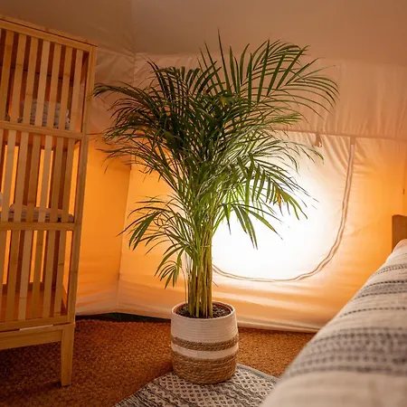 Glamping Gozdna Jasa *