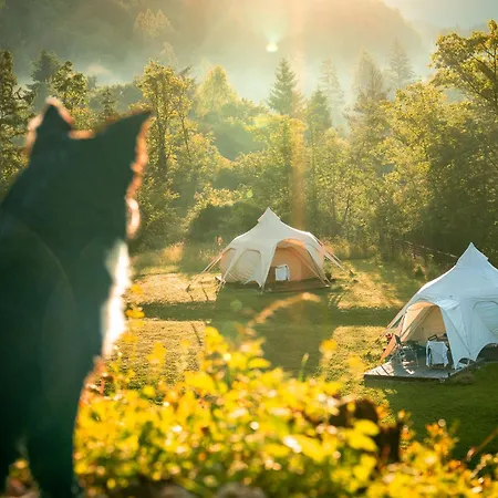 Glamping Gozdna Jasa Luxusní stan *