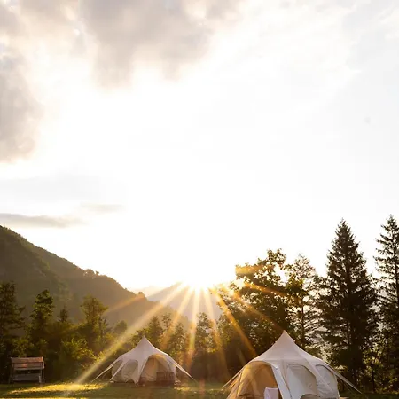 Glamping Gozdna Jasa