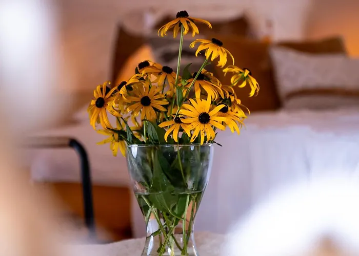 Glamping Gozdna Jasa