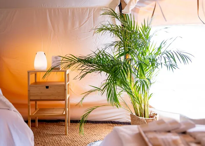 Glamping Gozdna Jasa