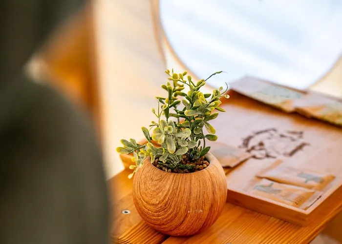 럭셔리텐트 Glamping Gozdna Jasa