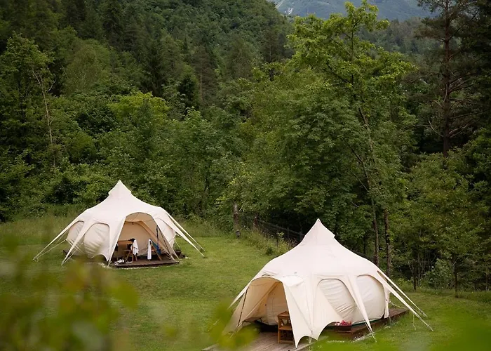 Glamping Gozdna Jasa 럭셔리텐트