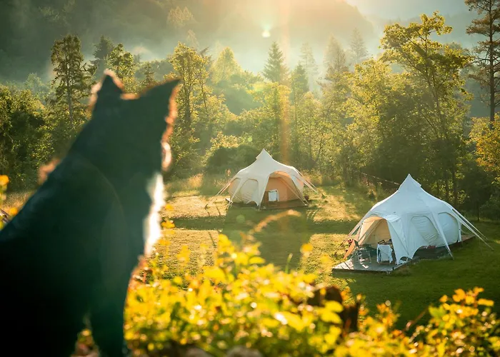 Glamping Gozdna Jasa 럭셔리텐트 *