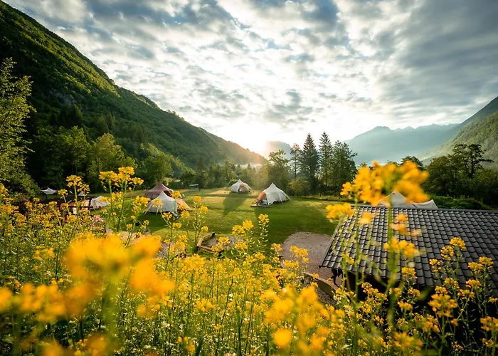 Glamping Gozdna Jasa 럭셔리텐트 *