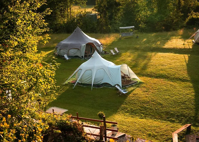 Glamping Gozdna Jasa