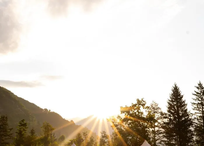 Glamping Gozdna Jasa